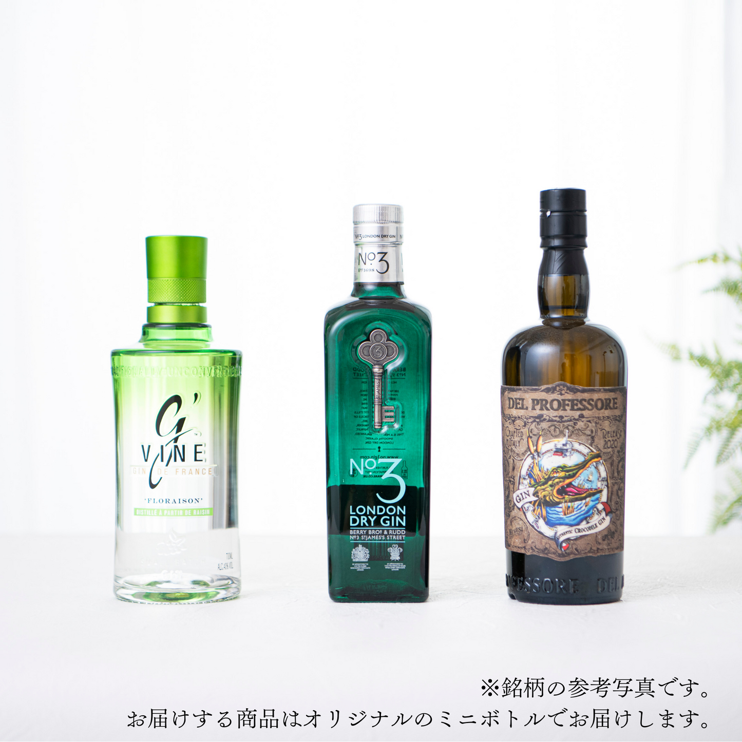 【数量限定】味の違いがよく分かる飲み比べシリーズ第二弾!